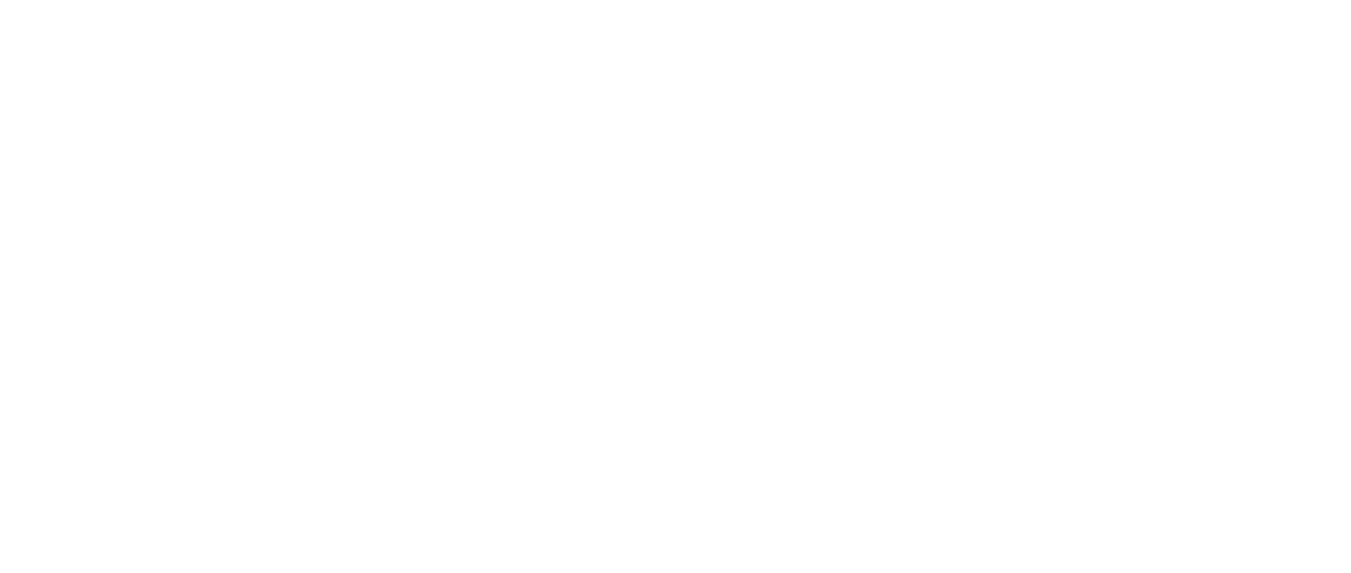 NBE Logo